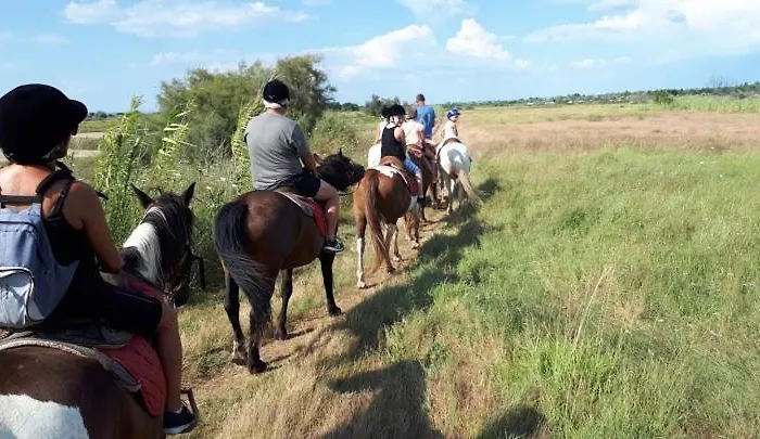 Emeraude Dans Вилла *